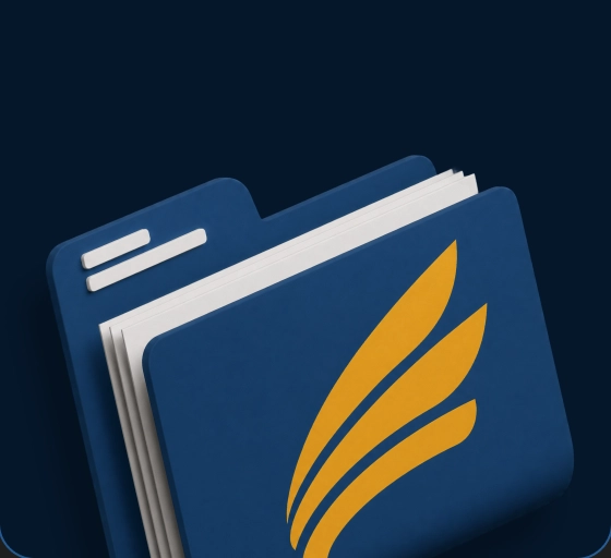 Documentos organizados